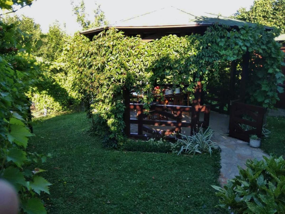 Apartmani Zapis Vrdnik Exterior foto